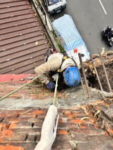 台北市萬華區透天外牆除樹工程施工