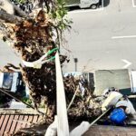 台北市萬華區透天外牆除樹工程施工