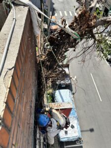 台北市萬華區透天外牆除樹工程施工