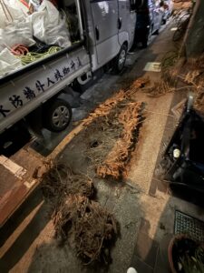 台北市萬華區透天民宅外牆除樹工程施工