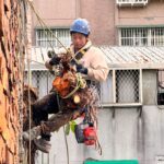 台北市萬華區透天民宅外牆除樹工程施工