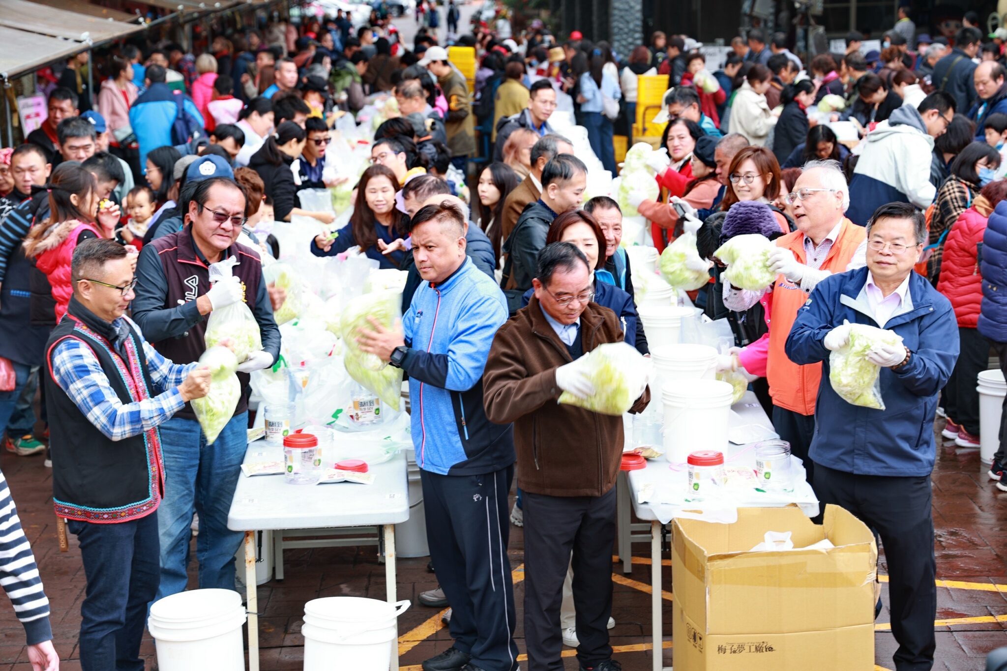 南投縣信義鄉「踏雪尋梅」活動 今27日盛大登場 南投縣信義鄉「踏雪尋梅」活動 今27日盛大登場