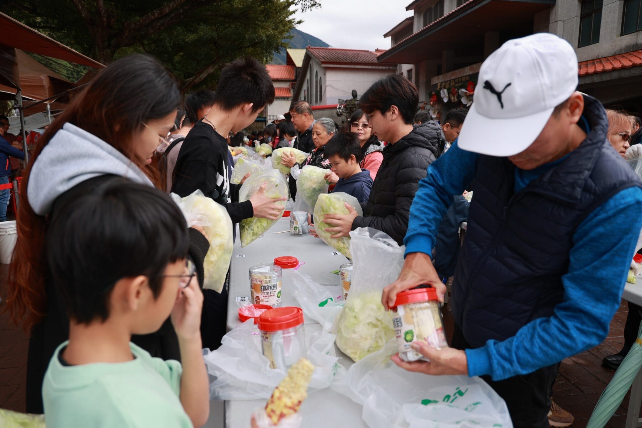 南投縣信義鄉「踏雪尋梅」活動 今27日盛大登場 南投縣信義鄉「踏雪尋梅」活動 今27日盛大登場