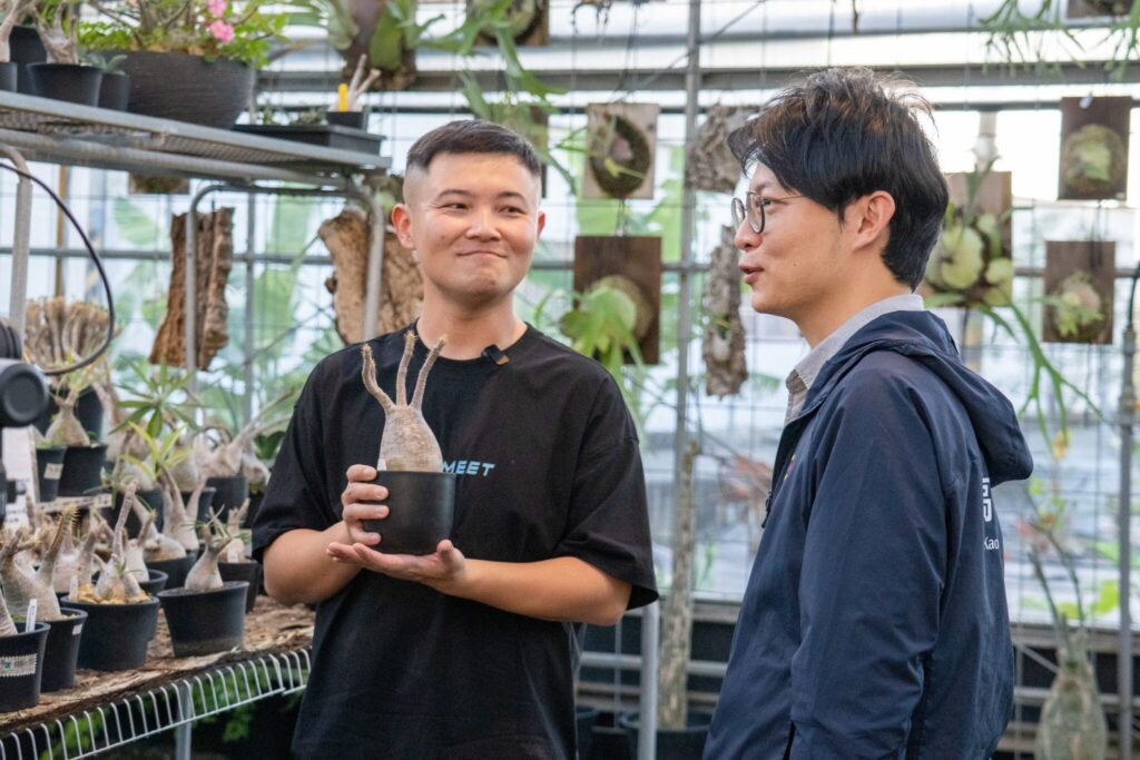 植感潮流引領綠意生活 高雄青創「阿金的便秘花園」 打造跨國綠植版圖 植感潮流引領綠意生活 高雄青創「阿金的便秘花園」 打造跨國綠植版圖