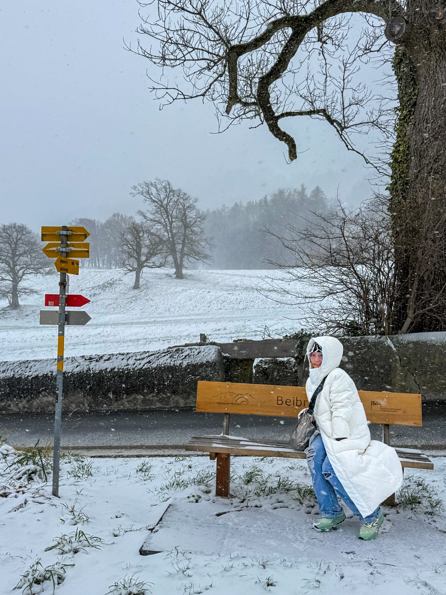 阮丹青歐洲追雪身心靈療癒之旅 十天充電回台續唱人生四季