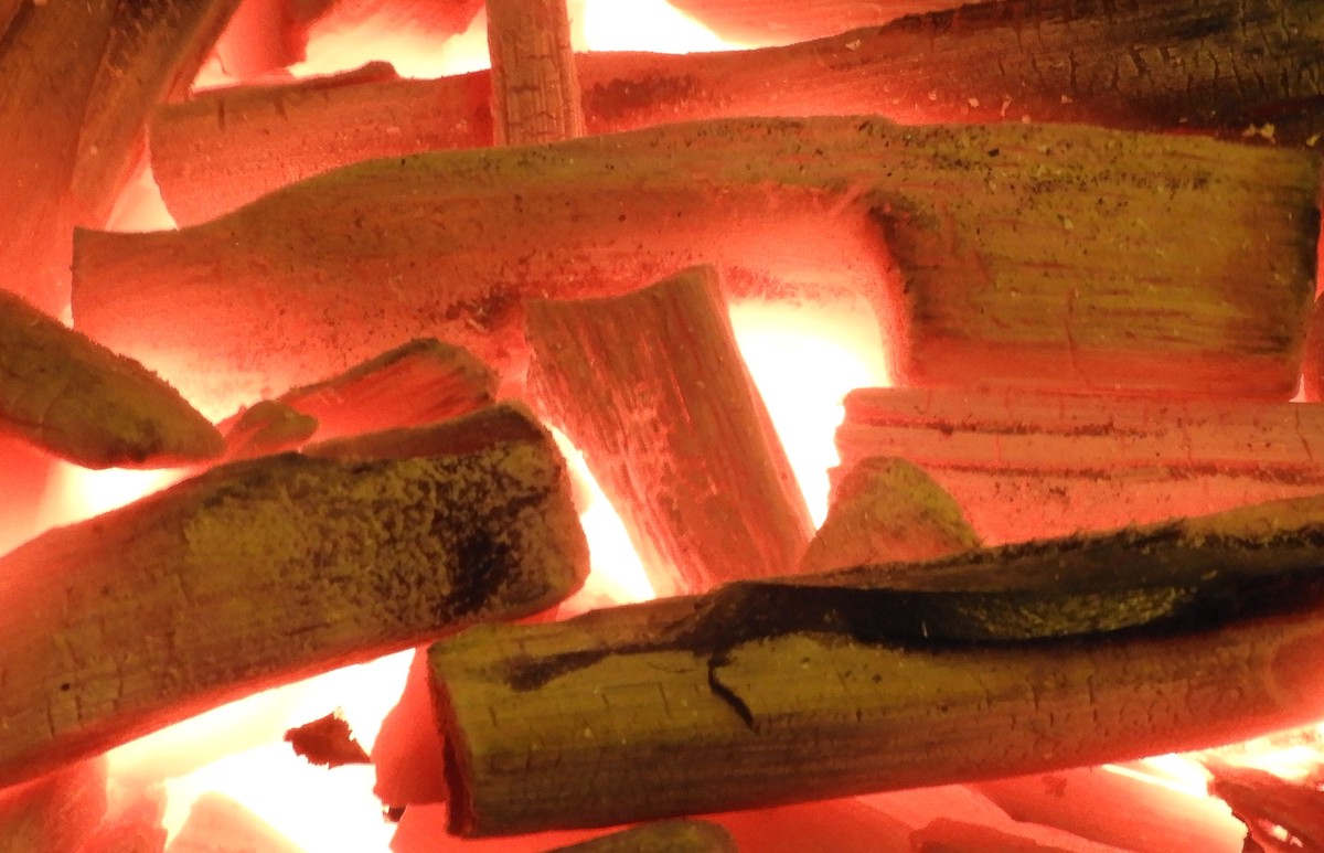 備長炭烘焙創新品牌強勢登場——用紅外線烘焙出健康美味,連華視主播都親自推薦! 備長炭烘焙創新品牌強勢登場——用紅外線烘焙出健康美味,連華視主播都親自推薦!