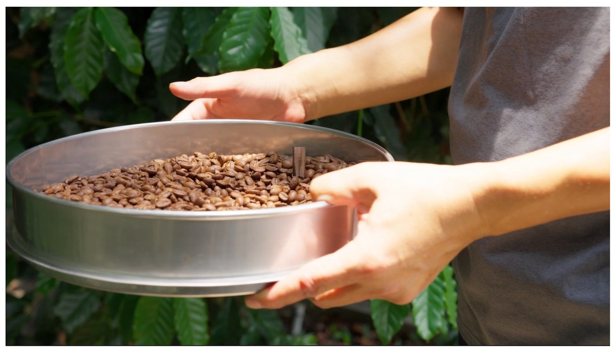 備長炭烘焙創新品牌強勢登場——用紅外線烘焙出健康美味,連華視主播都親自推薦! 備長炭烘焙創新品牌強勢登場——用紅外線烘焙出健康美味,連華視主播都親自推薦!