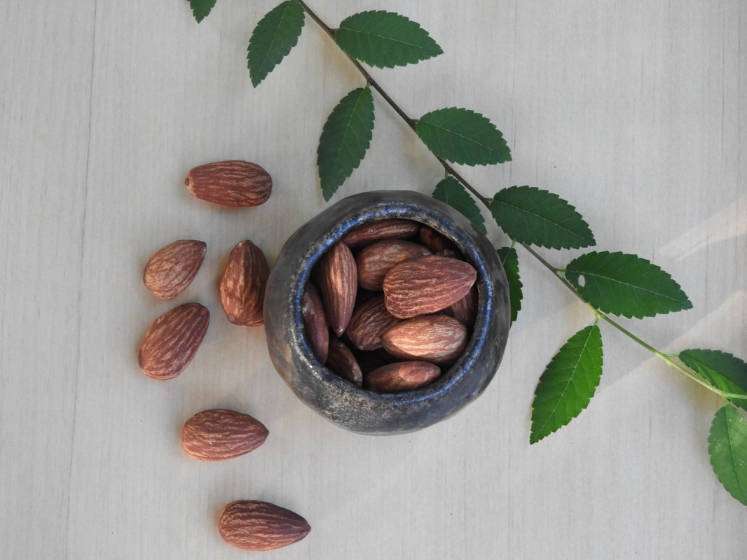 備長炭烘焙創新品牌強勢登場——用紅外線烘焙出健康美味,連華視主播都親自推薦! 備長炭烘焙創新品牌強勢登場——用紅外線烘焙出健康美味,連華視主播都親自推薦!