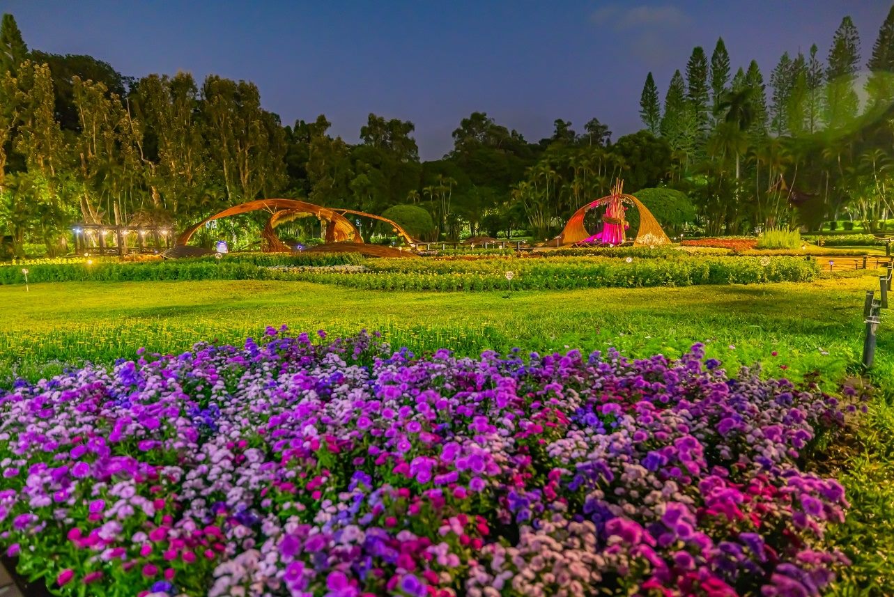 士林官邸菊展倒數 45萬人次參觀 展後200盆花12/17免費認養 士林官邸菊展倒數 45萬人次參觀 展後200盆花12/17免費認養