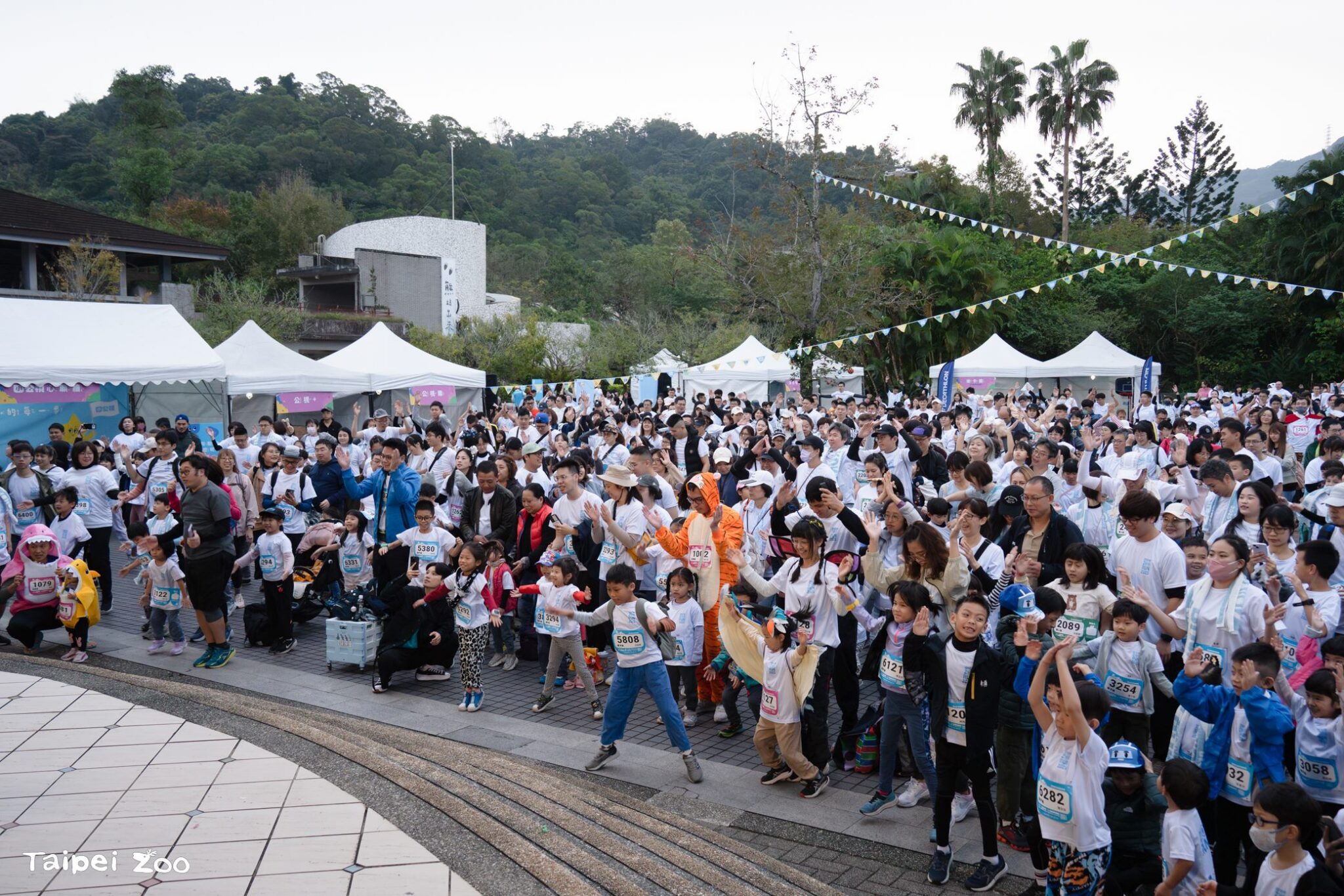 清晨開跑!3500親子早鳥湧動物園 為野生動物公益路跑 清晨開跑!3500親子早鳥湧動物園 為野生動物公益路跑