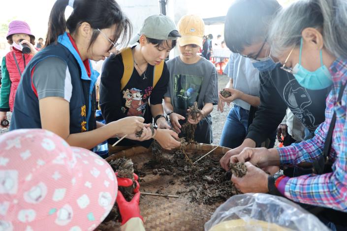 2025 大埤稻草酸菜季「藝起稻熱鬧」盛大登場 雲林農村創新魅力全面升級 現場民眾體驗酸菜醃製過程