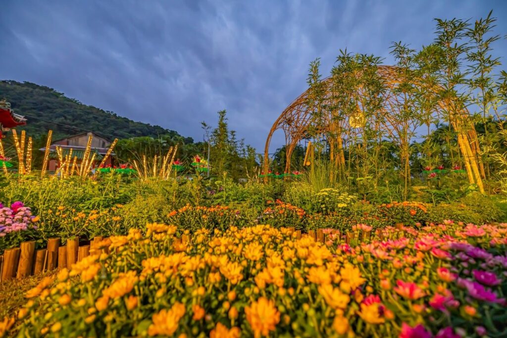 士林官邸菊展倒數 45萬人次參觀 展後200盆花12/17免費認養 士林官邸菊展倒數 45萬人次參觀 展後200盆花12/17免費認養