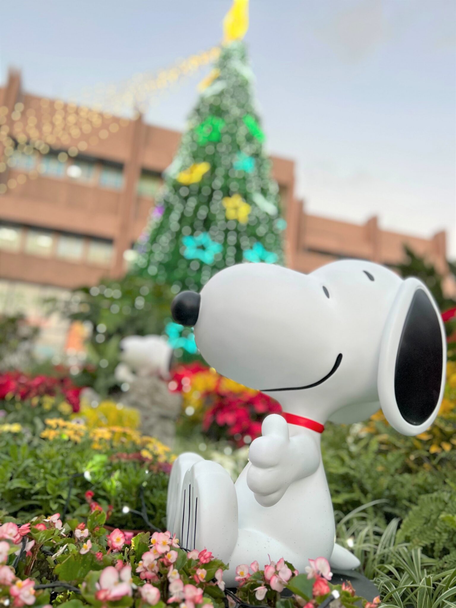 與史努比共度聖誕!自來水園區壓軸音樂會 免費入園賞燈聽樂 與史努比共度聖誕!自來水園區壓軸音樂會 免費入園賞燈聽樂