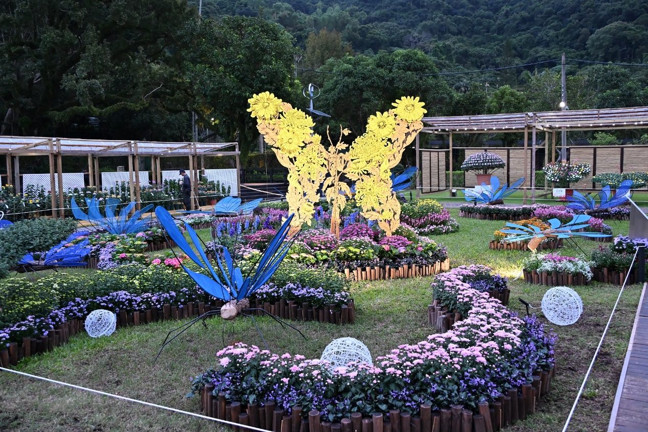 士林官邸菊展吸30萬人潮　「藝菊圓夢」打造秋日最美盛宴