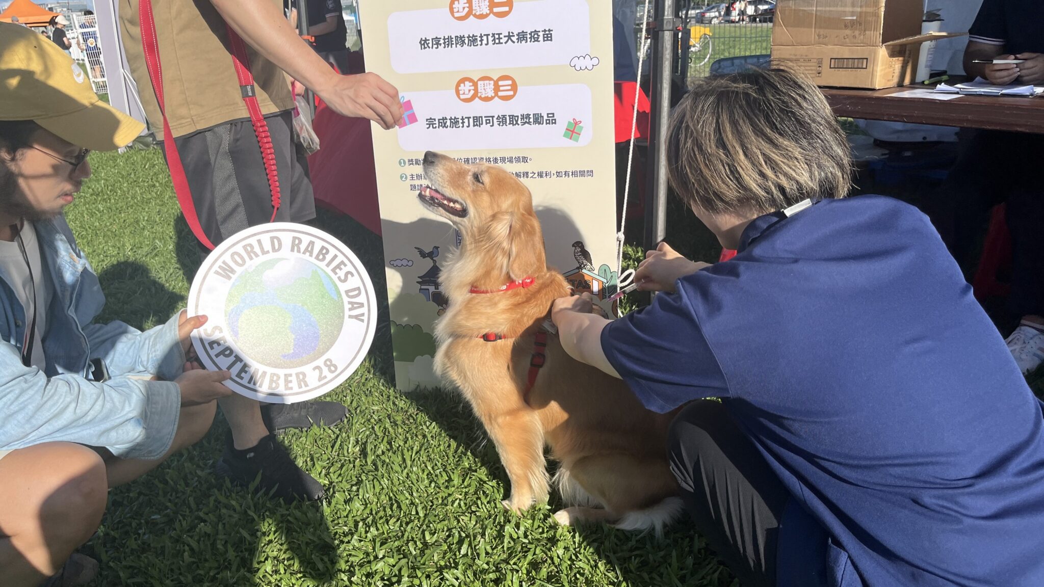 臺北市動物保護3年有成 動物友善服務再升級 臺北市動物保護3年有成 動物友善服務再升級