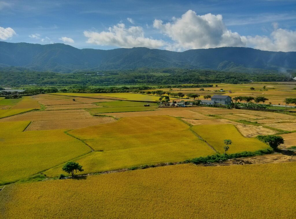 李奇嶽 : 國旅「太貴」不是錢不夠,而是價值感輸給了出國 李奇嶽 : 國旅「太貴」不是錢不夠,而是價值感輸給了出國