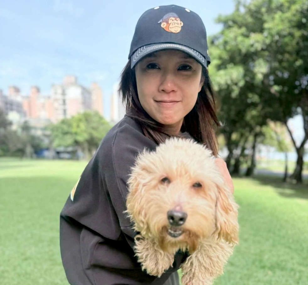 創意行銷收奇效 新北動保助超萌「米克斯」回歸幸福! 創意行銷收奇效 新北動保助超萌「米克斯」回歸幸福!