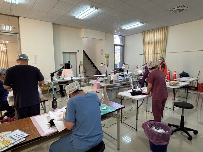 公私協力深入偏鄉守護毛小孩　台中市偏區犬貓絕育114年度活動圓滿結束