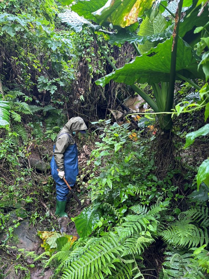 違法排放油污淡水公司田溪 新北溯溪揪出元兇 違法排放油污淡水公司田溪 新北溯溪揪出元兇