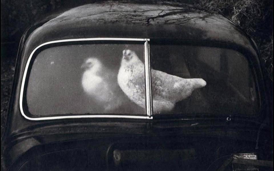 當影像不再讓人不舒服 當影像不再讓人不舒服