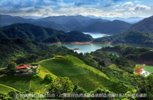 坪林石碇文山包種茶 翻轉茶的無限可能