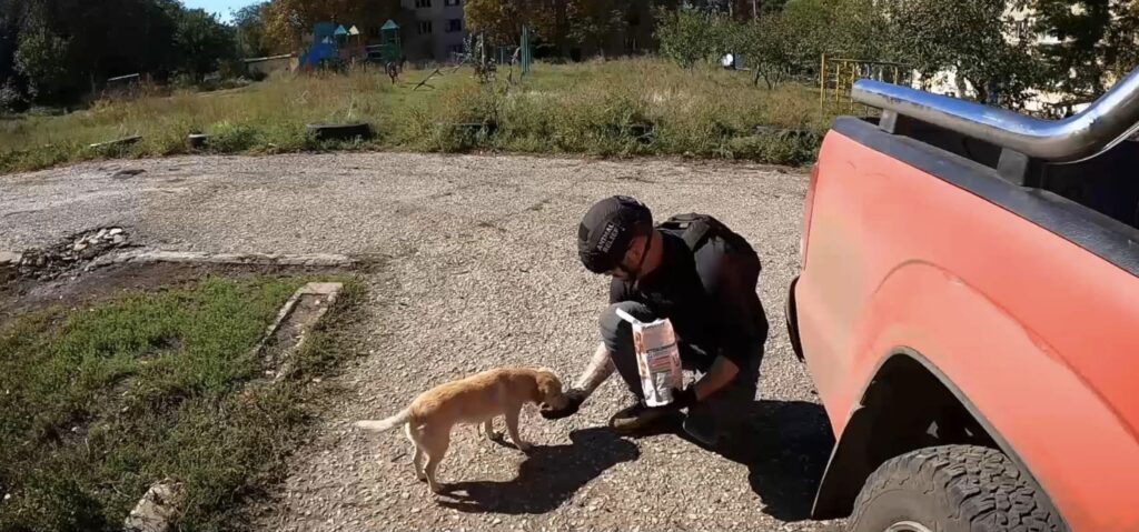 退伍軍人戰後PTSD被治療犬治癒 滿懷感謝投身國際動物救援行動 23 %E4%B8%8B%E5%8D%88540 2026 1 7%E7%9A%84%E5%BD%B1%E5%83%8F 1024x479 1