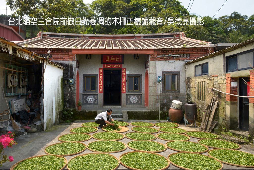 風起雲湧台灣茶 風起雲湧台灣茶