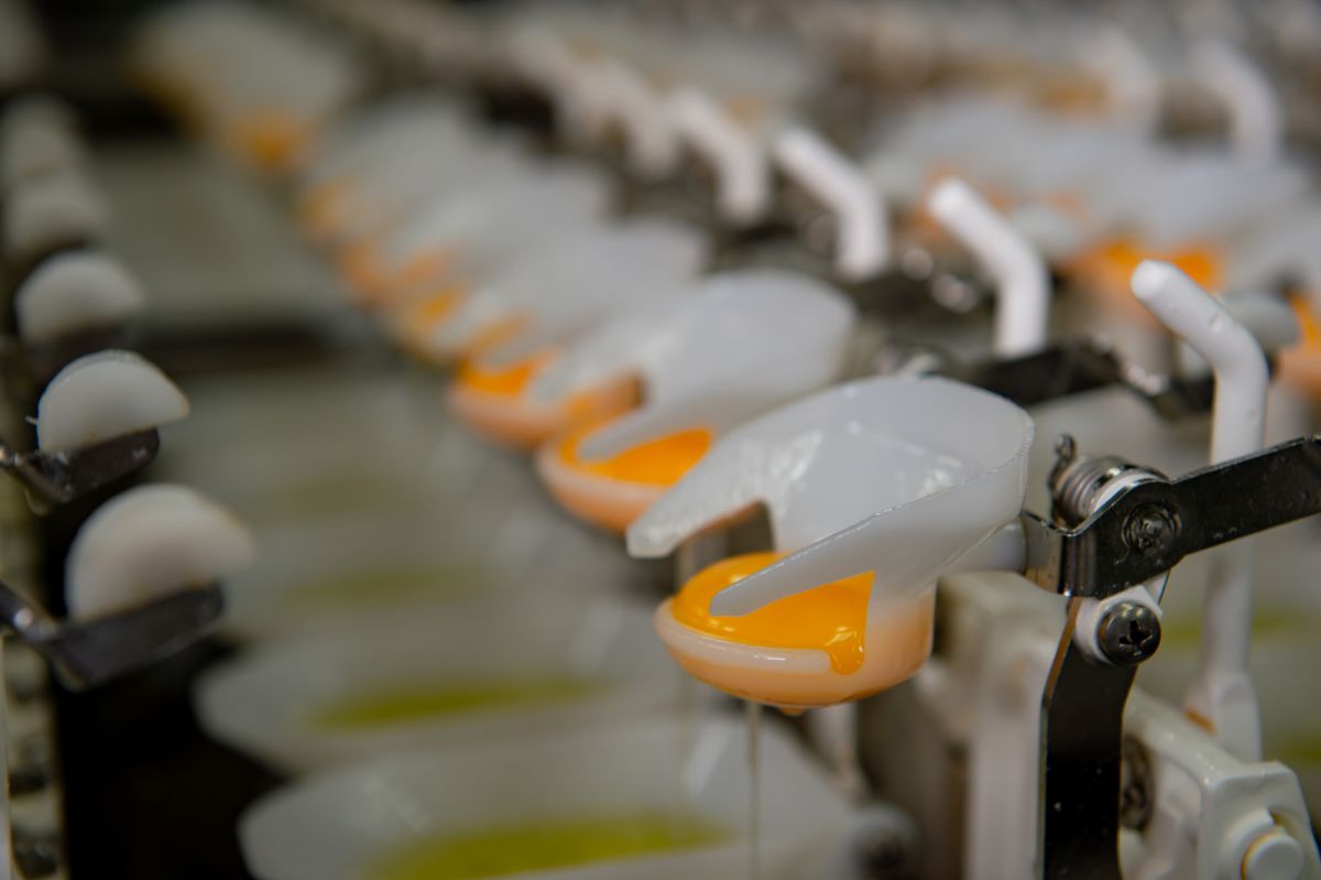 年前缺工潮來臨!供應鏈面臨挑戰 勤億揭示「液蛋五大客製化」成產線轉型關鍵 圖/勤億蛋品表示,2026 年第一季的 B2B 市場詢問度明顯反映出此缺工焦慮,越來越多大型食品廠尋求「開封即用」的解決方案,將有限的人力資源集中在核心生產環節。(勤億蛋品 提供)