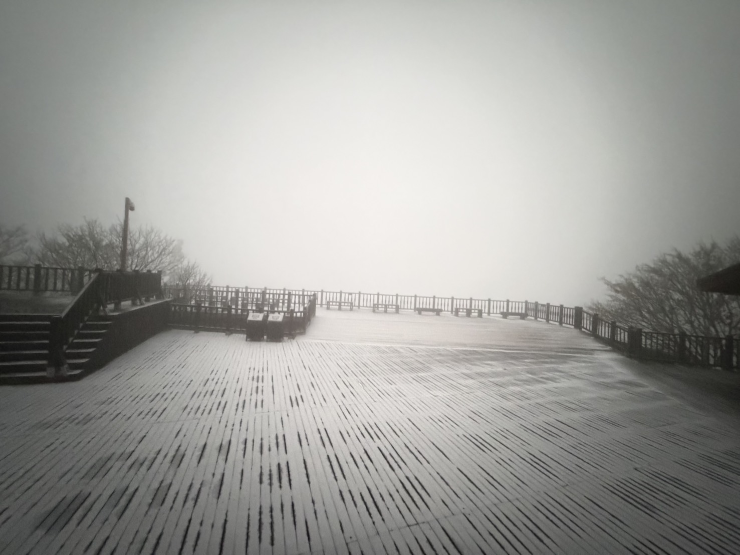 冷氣團發威太平山-2度　霧淞銀白世界遊客嗨翻