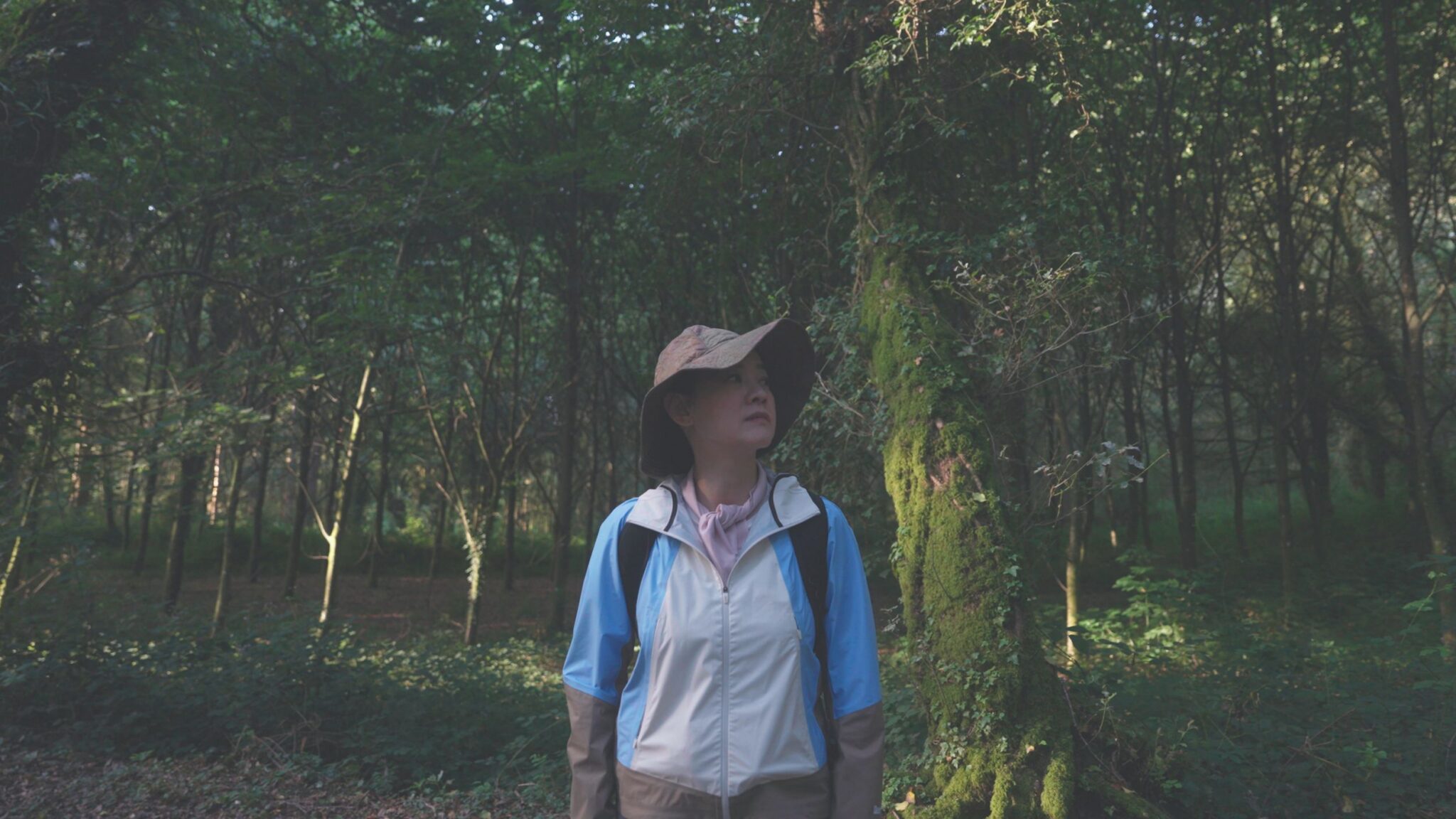 曾寶儀挑戰走西班牙朝聖之路悟透人生 教堂內淚崩 首吐演藝疲憊感 曾寶儀挑戰走西班牙朝聖之路悟透人生 教堂內淚崩 首吐演藝疲憊感