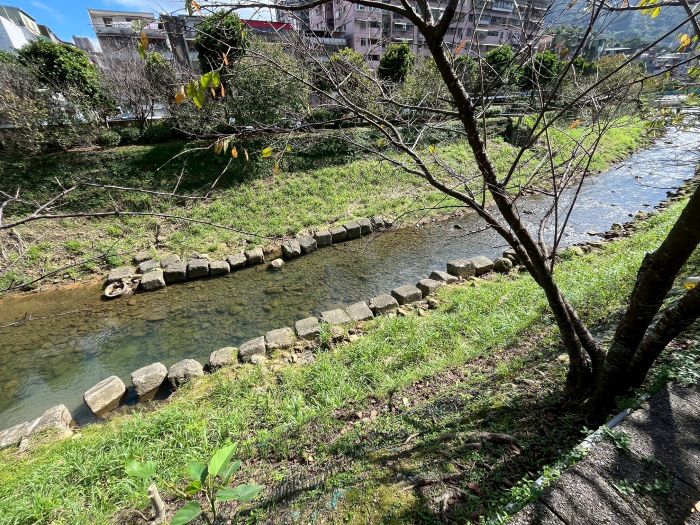 強化河岸防洪提升 汐止康誥坑溪固床工程完工 11 《圖說》康誥坑溪固床工施工前,河道水流紊亂,易造成河床及護岸掏刷。〈水利局提供〉