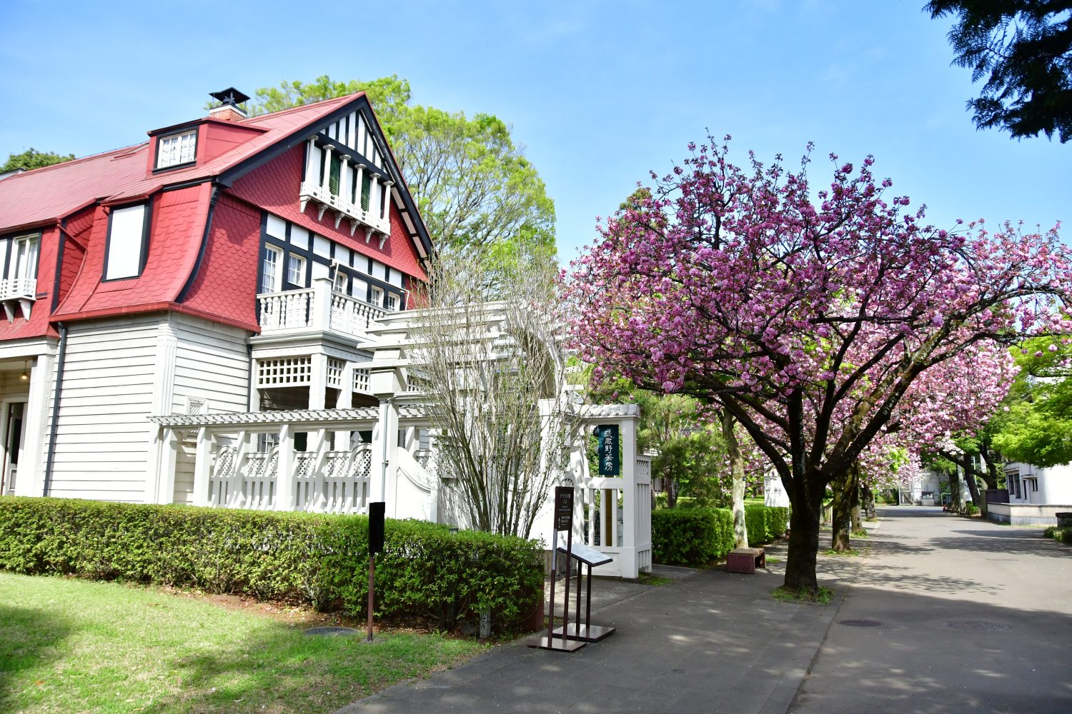 東京後花園「多摩」自然寶庫 漫步江戶時光街角細細品味「另一個東京」 東京後花園「多摩」自然寶庫 漫步江戶時光街角細細品味「另一個東京」