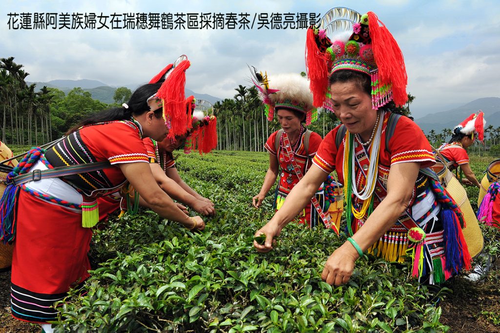 風起雲湧台灣茶 風起雲湧台灣茶