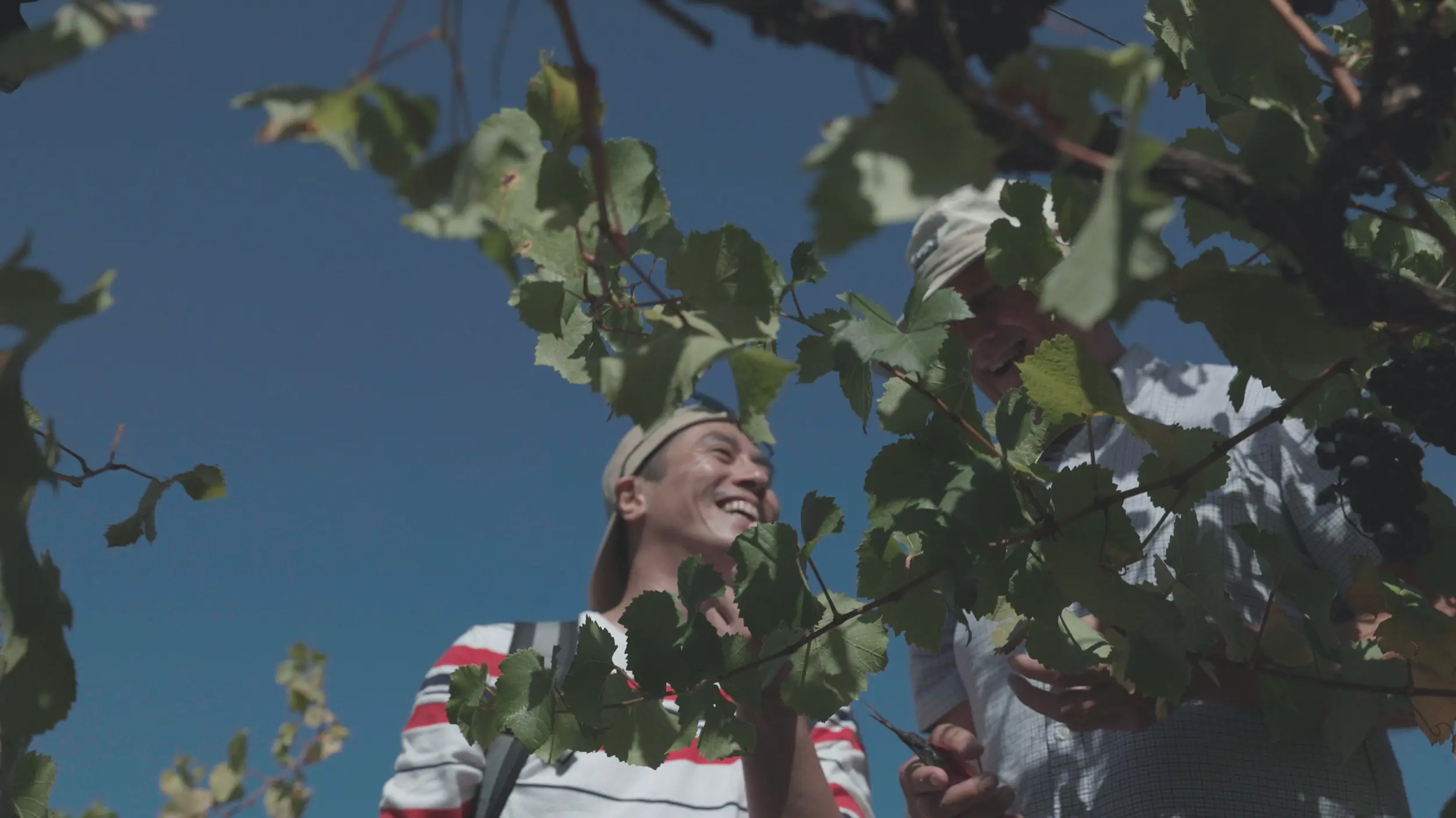 莊凱勛澳洲尋寶體悟人生 忘了自己擁有的 重新思考與家的連結 莊凱勛澳洲尋寶體悟人生 忘了自己擁有的 重新思考與家的連結