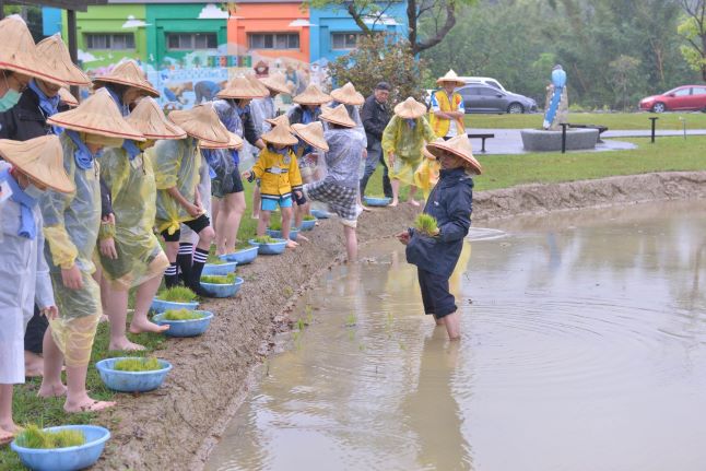 創新體驗經濟帶領農業轉型 新北農民節表揚農友辛勞 50 《圖說》汐止區農會優良農事小組長王新傳擔任農會的食農教育講師,帶領大小朋友一起體驗農作。〈農業局提供〉