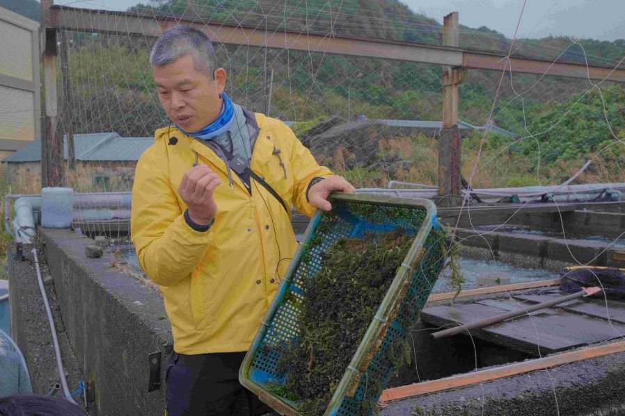 推動校園食農資源 新北農教融入十二年課綱 34 《圖說》「鮮物本舖」活化既有養殖池,使民眾近距離了解海洋資源利用與永續漁業。〈農業局提供〉