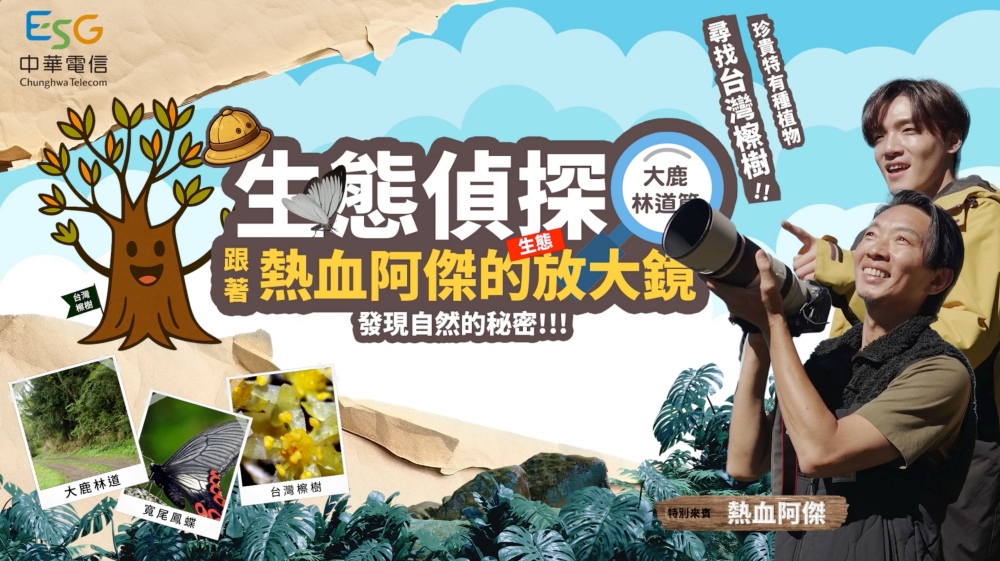 中華電信推動大鹿林道造林復育 攜手林業保育署守護臺灣檫樹珍貴物種 中華電信推動大鹿林道造林復育 攜手林業保育署守護臺灣檫樹珍貴物種