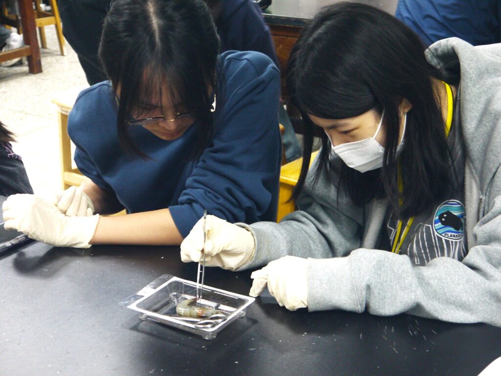 推廣生命科學 中山醫大攜手科博館舉辦高中研習營隊 5 02 %E5%8F%83%E8%88%87%E7%87%9F%E9%9A%8A%E7%9A%84%E9%AB%98%E4%B8%AD%E5%AD%B8%E7%94%9F%E5%9C%A8%E4%B8%AD%E5%B1%B1%E9%86%AB%E5%A4%A7%E5%AF%A6%E9%A9%97%E5%AE%A4%E9%80%B2%E8%A1%8C%E7%AF%80%E8%82%A2%E5%8B%95%E7%89%A9%E8%A7%A3%E5%89%96%E5%AF%A6%E4%BD%9C%E9%AB%94%E9%A9%97%E7%94%9F%E7%A7%91%E7%A0%94%E7%A9%B6 1024x768 1