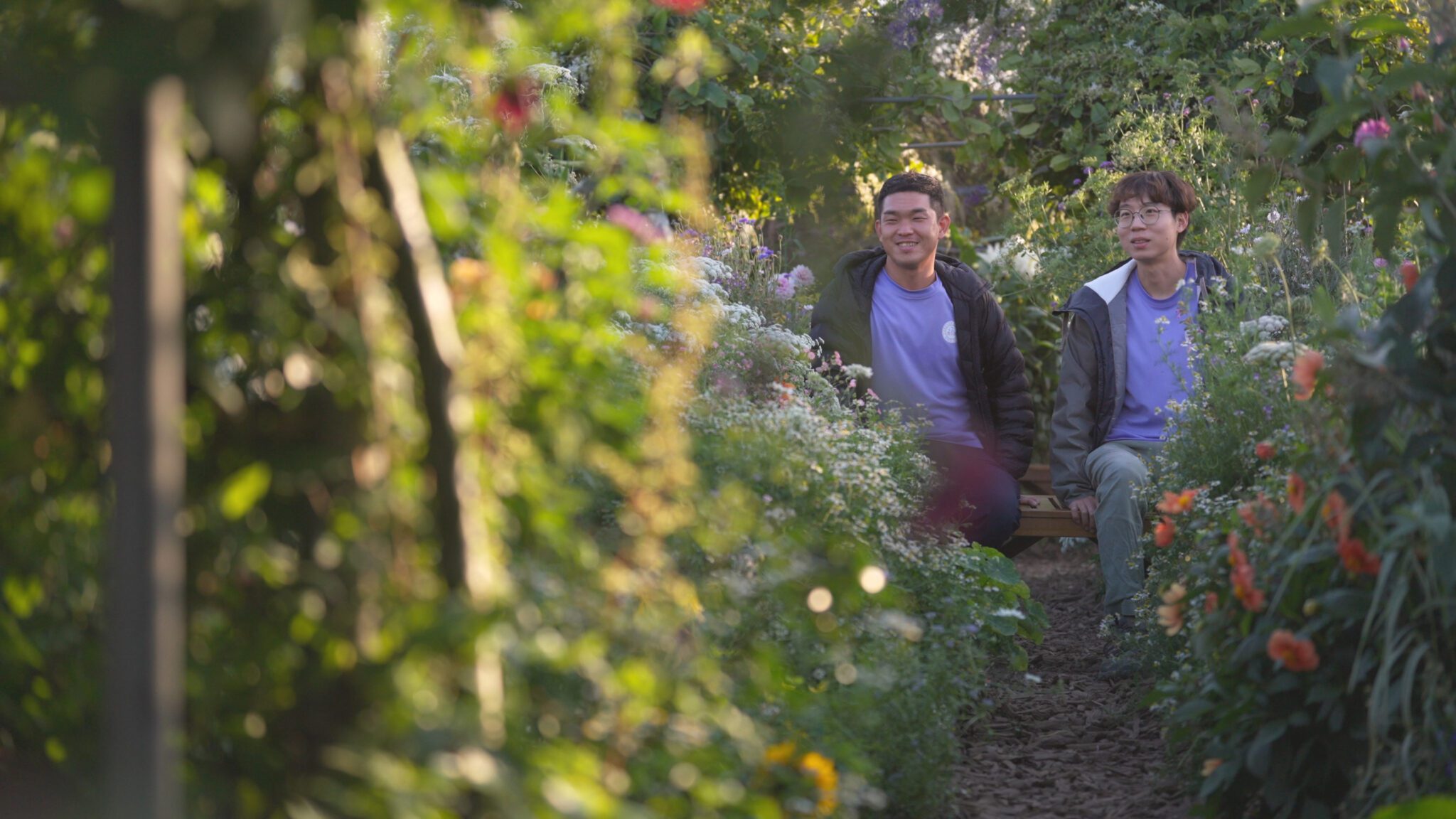 《藝術很有事》新一季關注藝術與生活交會 讓風走進花園
