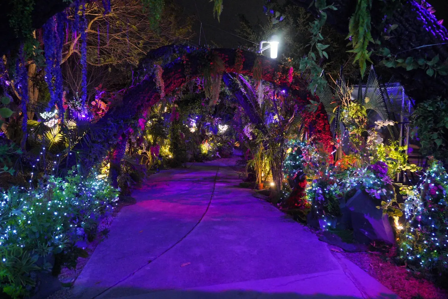 2026中台灣燈會「驚蟄界」燈區搶先看! 建設局長:讓賞燈成為一段沉浸式旅程 2026中台灣燈會「驚蟄界」燈區搶先看! 建設局長:讓賞燈成為一段沉浸式旅程