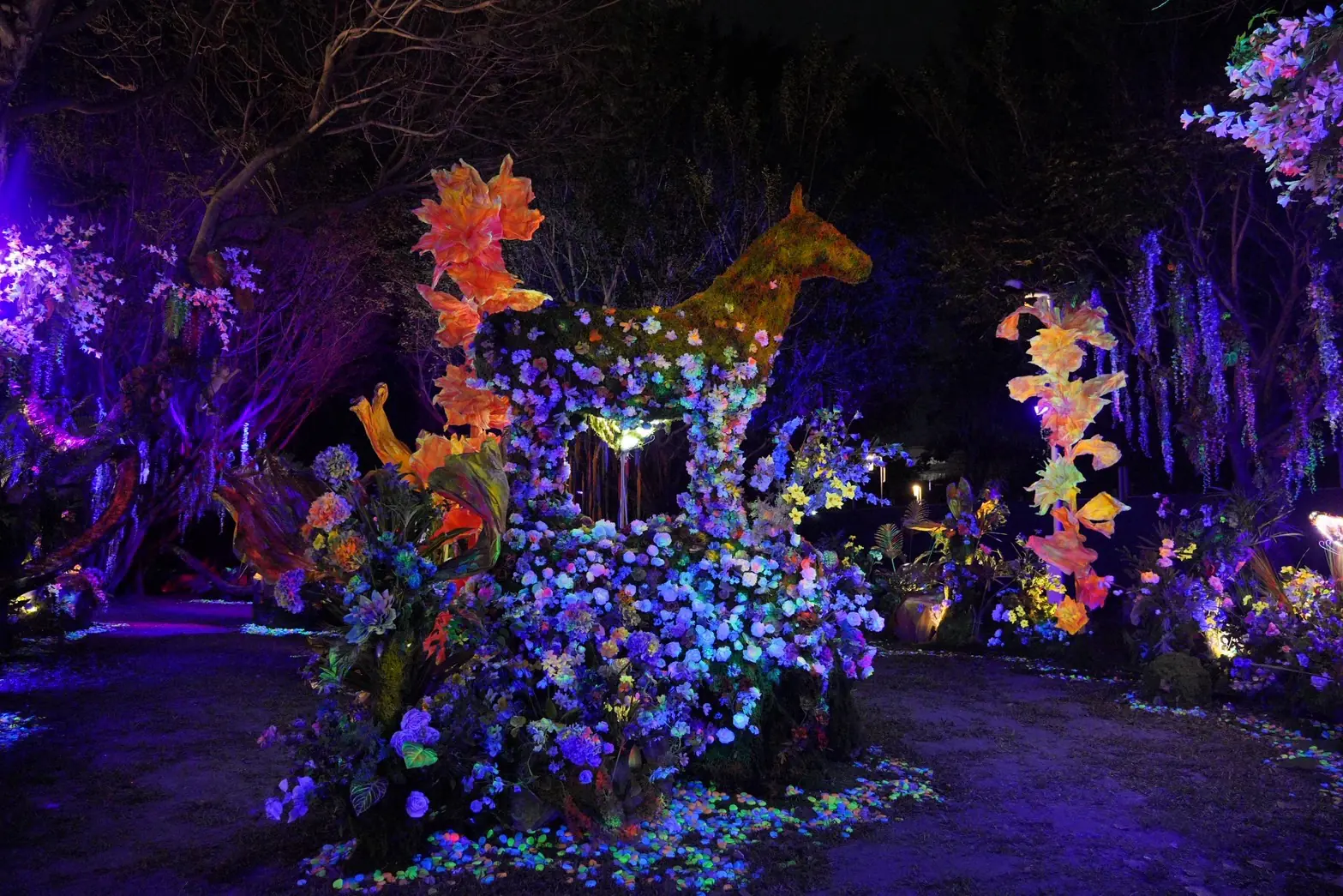 2026中台灣燈會「驚蟄界」燈區搶先看! 建設局長:讓賞燈成為一段沉浸式旅程 2026中台灣燈會「驚蟄界」燈區搶先看! 建設局長:讓賞燈成為一段沉浸式旅程