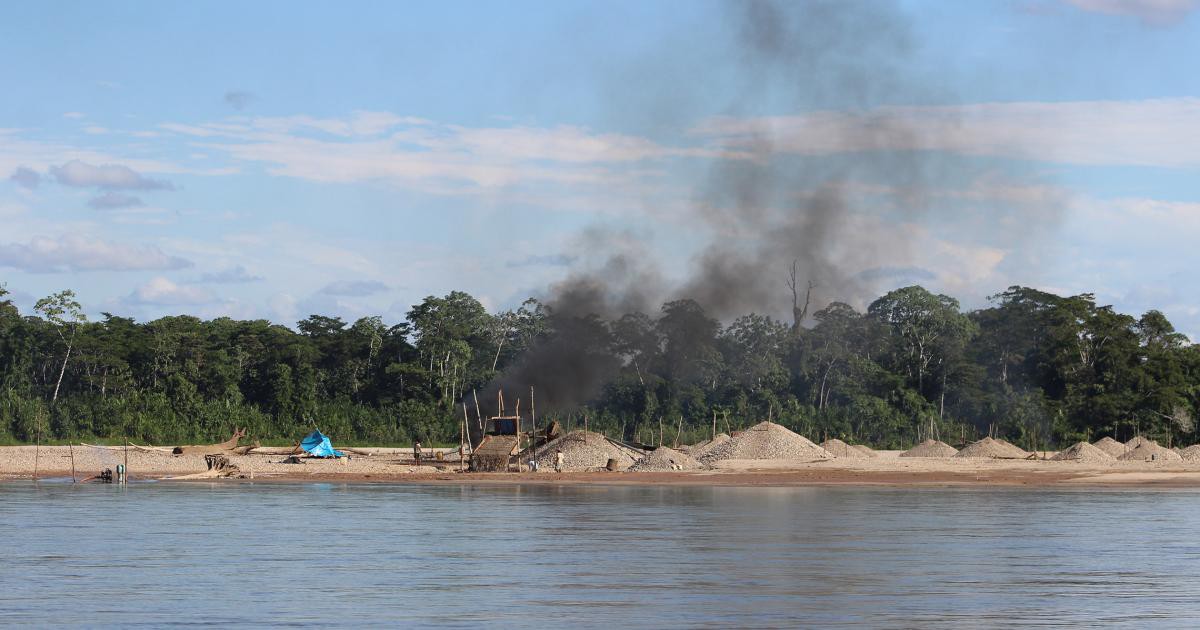 獵殺「亞馬遜毒金」!百兆產值引爆修復商機 合法化監管,能否成為雨林救贖? 獵殺「亞馬遜毒金」!百兆產值引爆修復商機 合法化監管,能否成為雨林救贖?