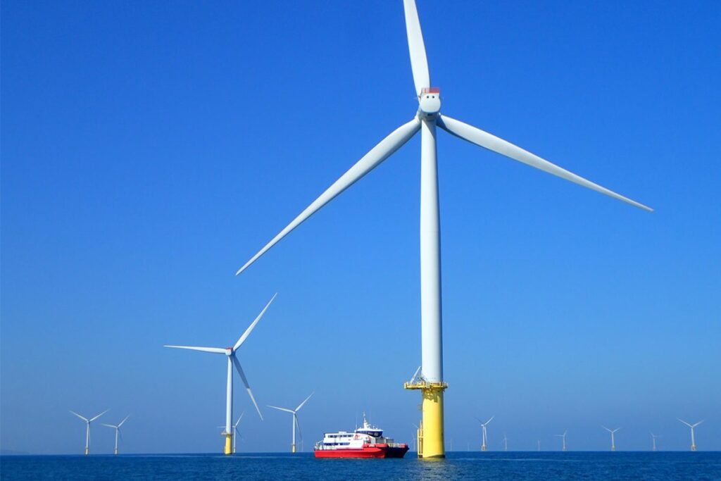 離岸風場成海洋綠洲　海大研究證實臺灣風機魚礁具備生態保育效益