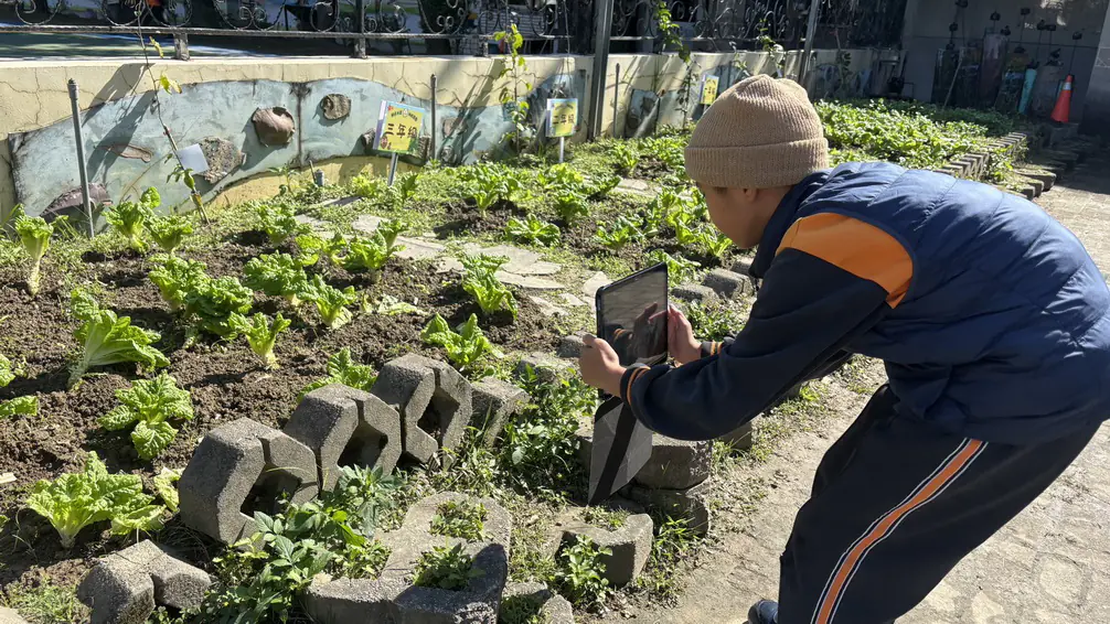 泥土與AI的溫柔對話 桃園市中興國小親師生共築科技農園夢 泥土與AI的溫柔對話 桃園市中興國小親師生共築科技農園夢