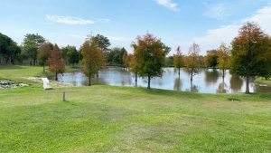 「十條人生智慧」助人開悟? 幫助健康豐盈落實心靈養生 「十條人生智慧」助人開悟? 幫助健康豐盈落實心靈養生