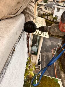 台北市信義區公寓外牆除樹工程施工