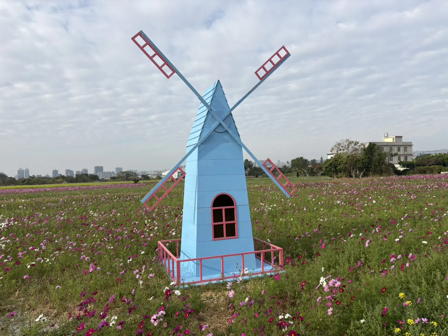 花開西屯迎新春 廣納幸福花海季浪漫登場 花開西屯迎新春 廣納幸福花海季浪漫登場