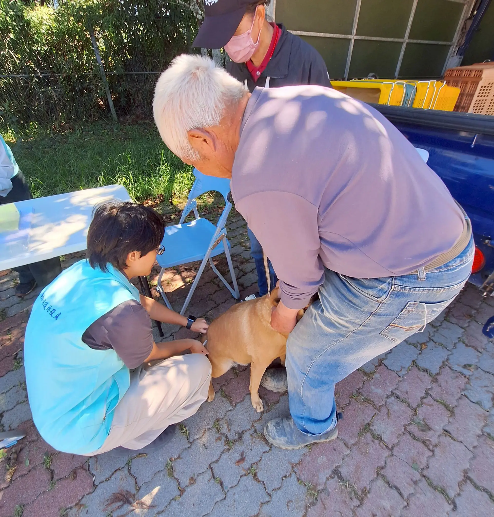 台中市動物保護防疫處推動狂犬病防治有成 台中市動物保護防疫處推動狂犬病防治有成