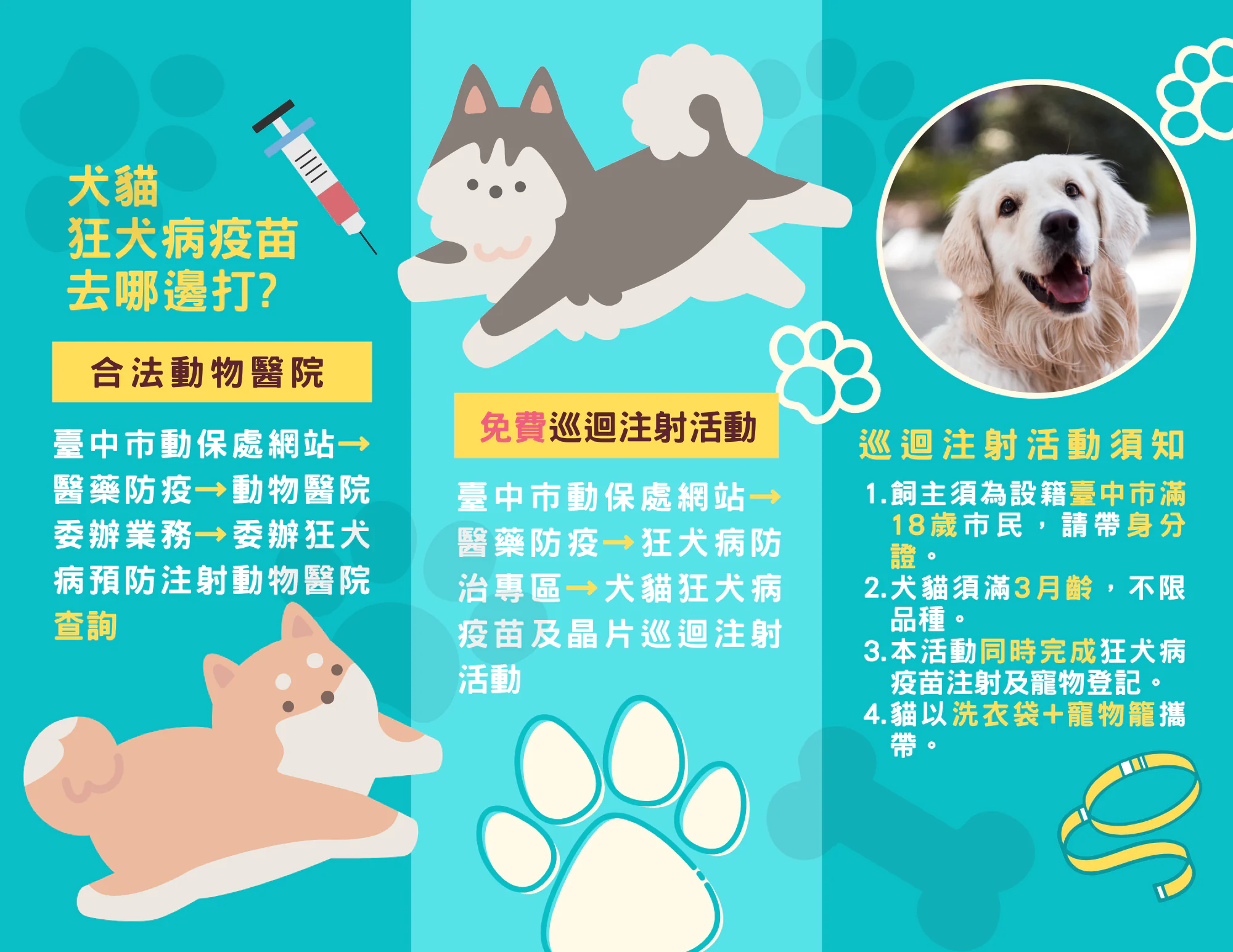 台中市動物保護防疫處推動狂犬病防治有成 台中市動物保護防疫處推動狂犬病防治有成