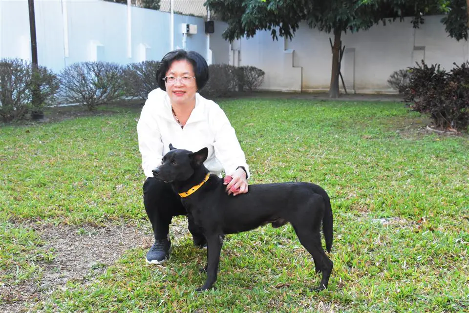 為控管遊蕩犬貓數量　打造友善動物之城市　彰化縣115年度遊蕩犬貓TNVR活動正式啟動